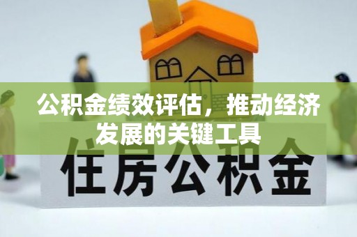 台湾公积金绩效评估，推动经济发展的关键工具