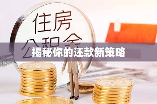 台湾揭秘你的还款新策略