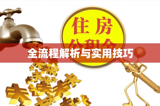 台湾全流程解析与实用技巧