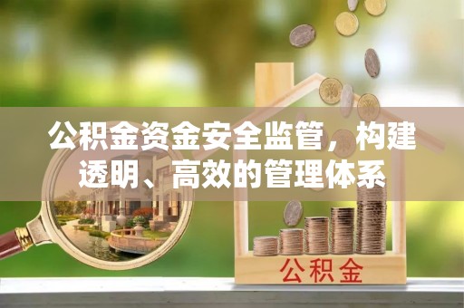 台湾公积金资金安全监管，构建透明、高效的管理体系
