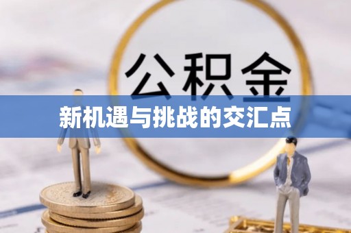 台湾新机遇与挑战的交汇点