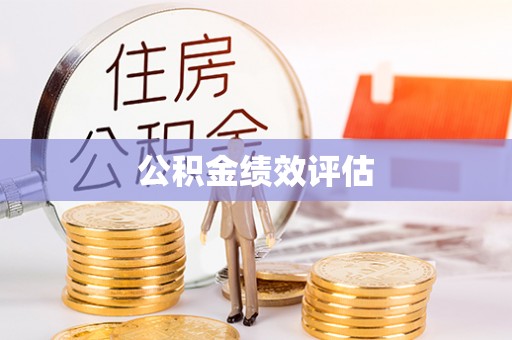 台湾公积金绩效评估
