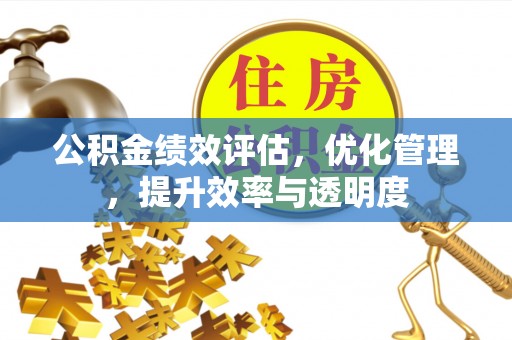台湾公积金绩效评估，优化管理，提升效率与透明度