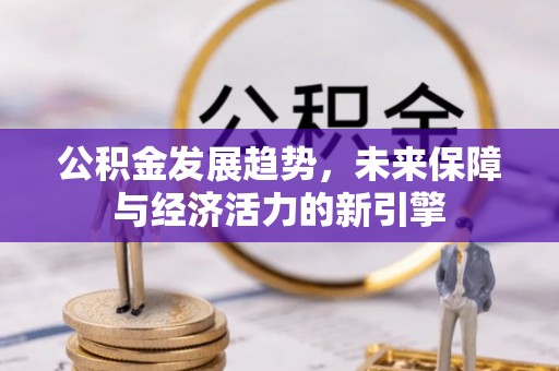台湾公积金发展趋势，未来保障与经济活力的新引擎