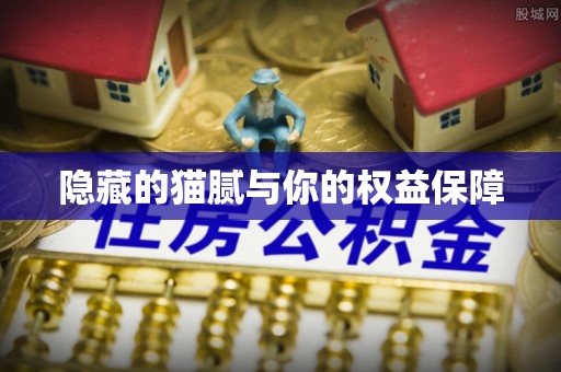 台湾隐藏的猫腻与你的权益保障