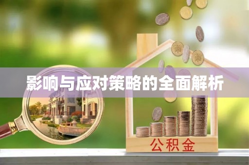 台湾影响与应对策略的全面解析