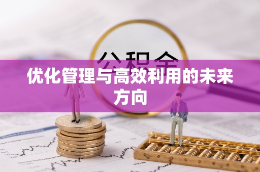 台湾优化管理与高效利用的未来方向